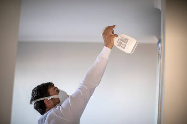 Best Local Mold Removal Service  in Melville, NY
