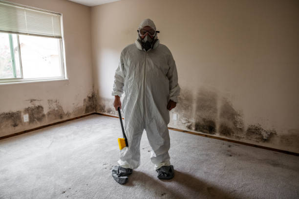 Best Attic Mold Removal  in Melville, NY